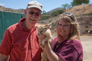 volunteer, fennec fox, Animal Tracks, zoo, animal sanctuary
