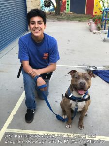 JRP has provided $27,300 in board and program development to K9 Youth Alliance