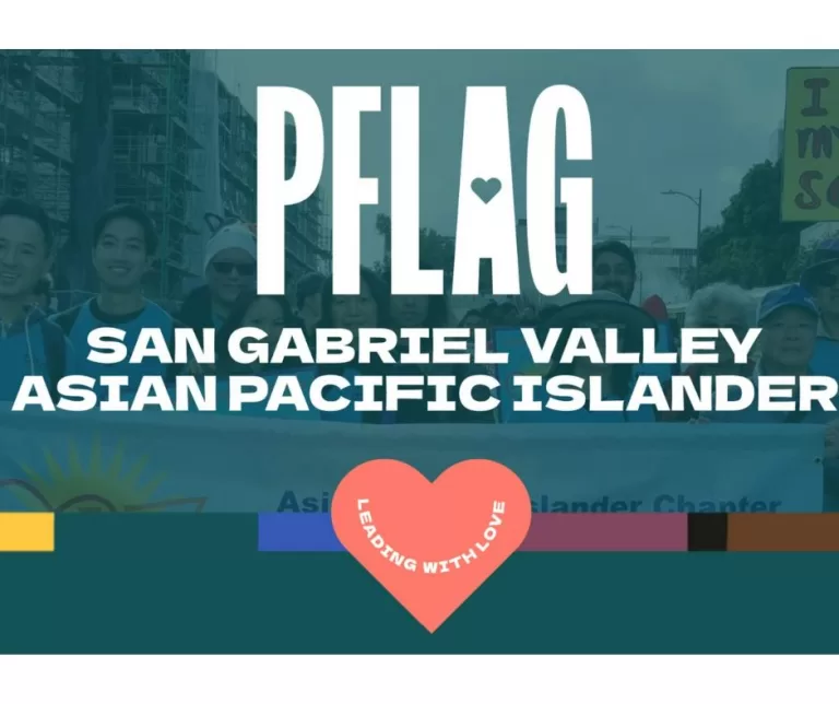 Powering Up PFLAG Asian Pacific Islander Chapter Accounting System