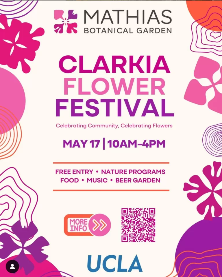 Clarkia Flower Festival